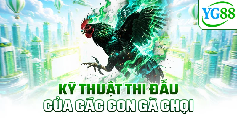 Kỹ thuật thi đấu của các con gà chọi